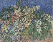 Vincent Van Gogh Blossoming Chestnut Branches (nn04) painting